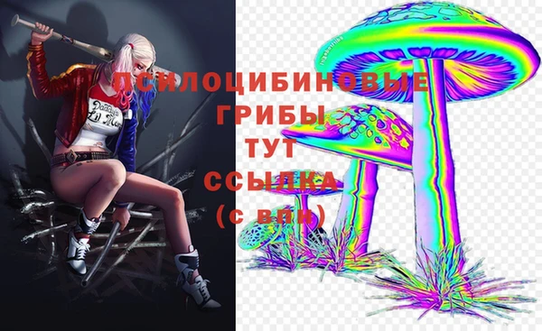 a pvp Алзамай