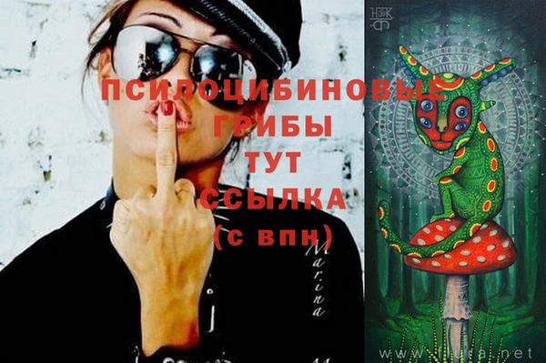 Альфа ПВП Алексеевка