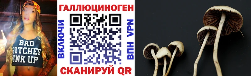 Псилоцибиновые грибы мицелий  Магадан 