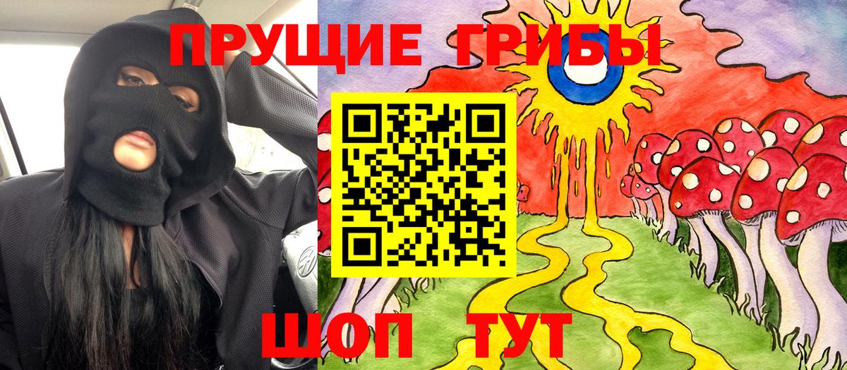 закладки  Галлюциногенные грибы Cubensis  Вход с VPN  Магадан  Псилоцибиновые грибы Psilocybine cubensis 